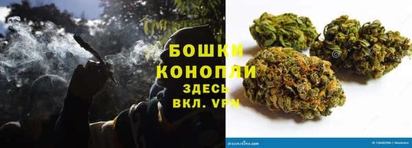сатива Волосово