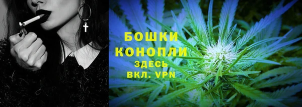 индика Волоколамск