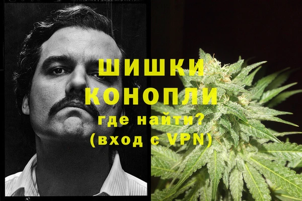 гашик Володарск