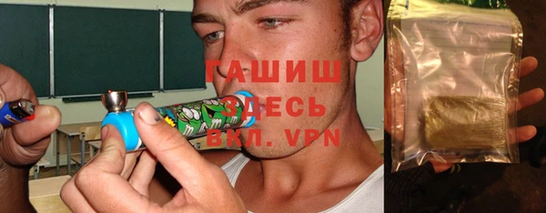 индика Волоколамск