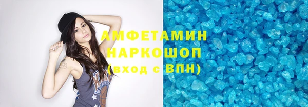 индика Волоколамск