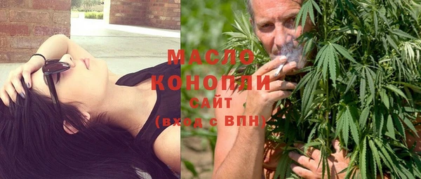 индика Волоколамск