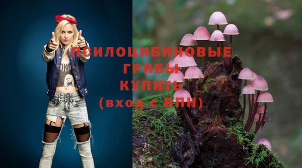 сатива Волосово