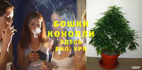 гашик Володарск