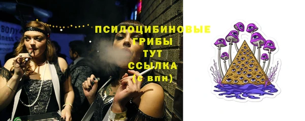 сатива Волосово