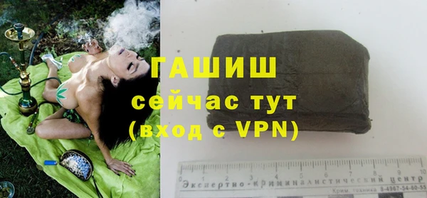 гашик Володарск