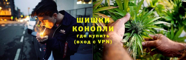 сатива Волосово