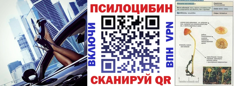 где найти наркотики  Полтавская  Псилоцибиновые грибы Cubensis 